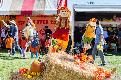 Del Sur Fall Festival – October 15-16, 2016