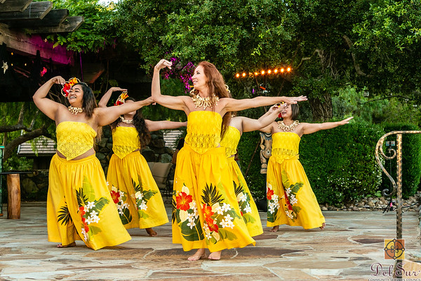 Del Sur Luau 2019